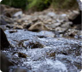 gestion del agua sostenibilidad cerveceria hondureña